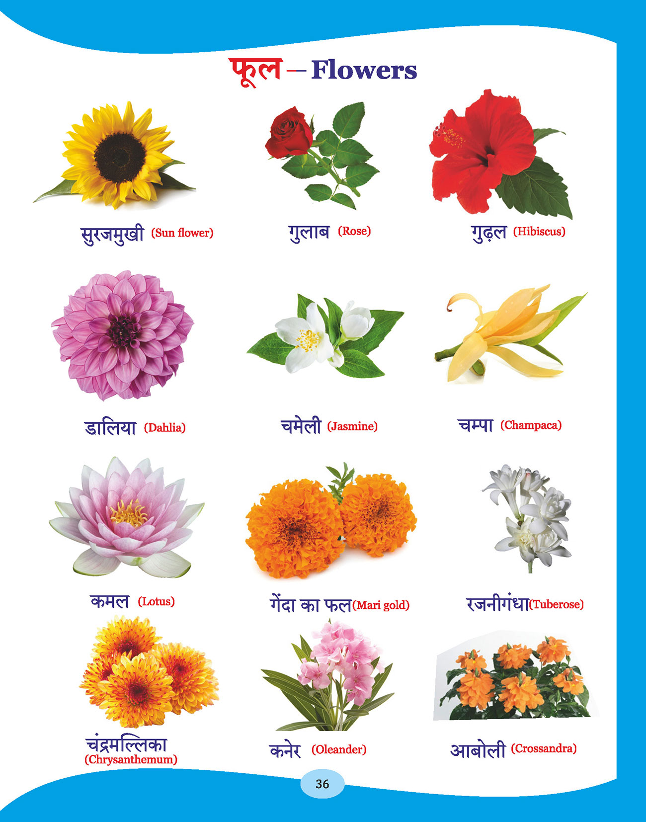 HINDI SACHITRA VARNAMALA WITH ACTIVITY | Sampada Publications